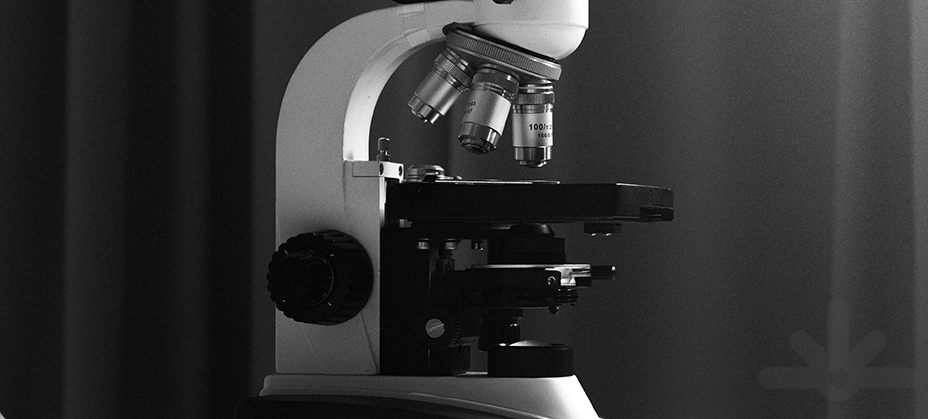 Laser de Alta Potência a 675 nm: Segurança e Eficácia na Avaliação Clínica e Evidências in vitro para Diferentes Distúrbios da Pele